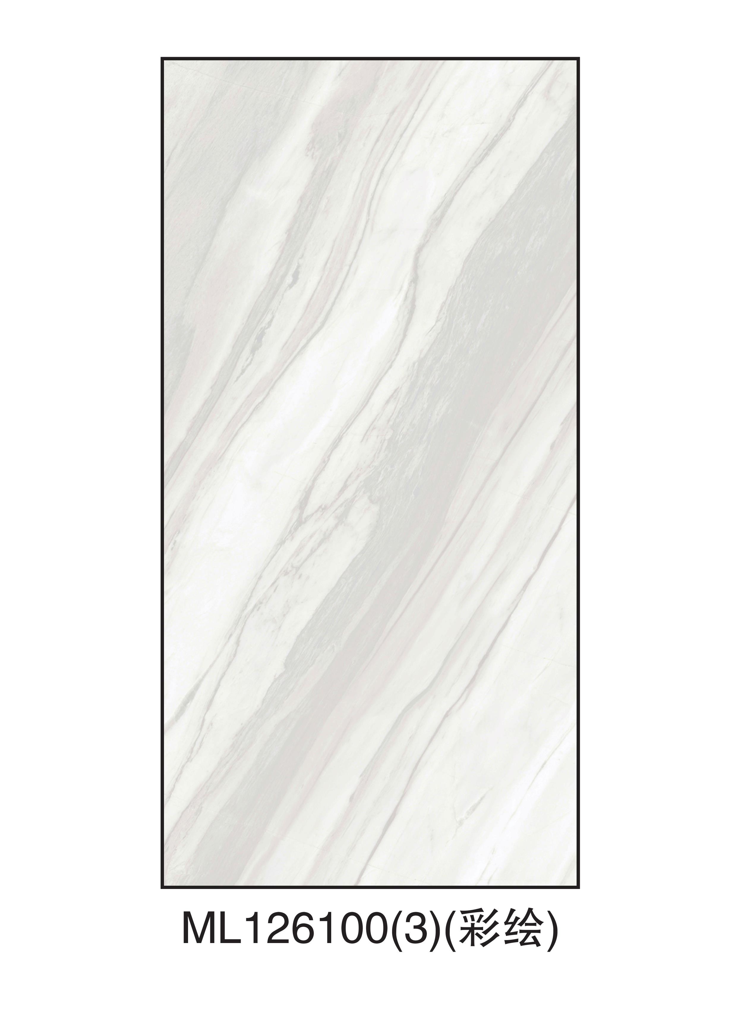 ML126100(3).jpg